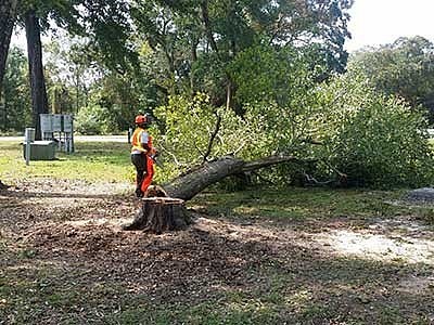 garden and tree service
