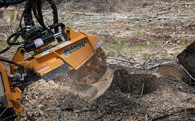 Stump Grinding North Shore
